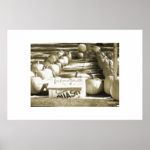 The Pumpkin Cart Poster