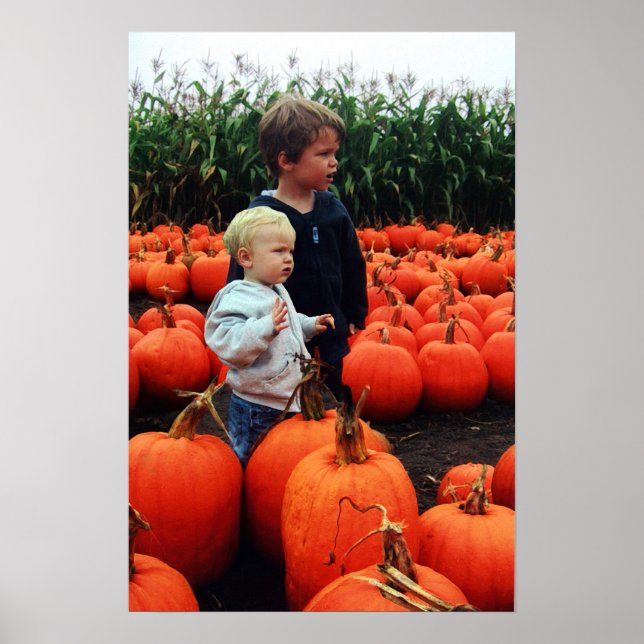 The Pumpkin Patch Poster (Front)