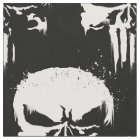The Punisher | Painted Skull Logo