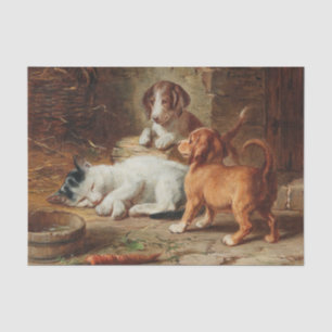 The Puppies Are Awake by Carl Reichert Tissue Paper