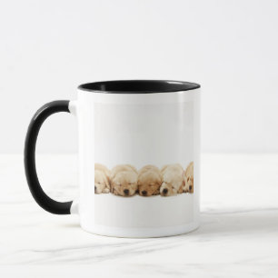 The puppies of the Golden Retriever Mug