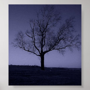 The Purle Tree Poster