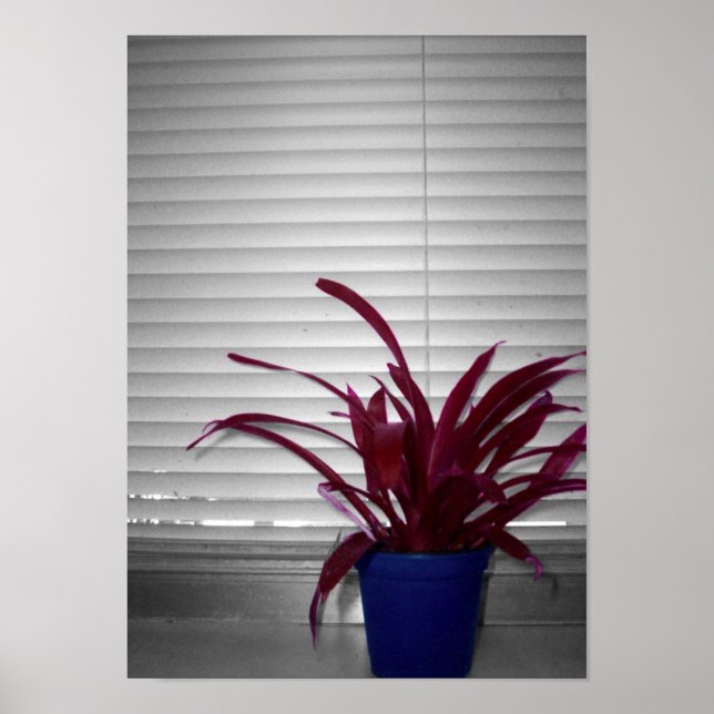 The Purple Plant Poster (Front)