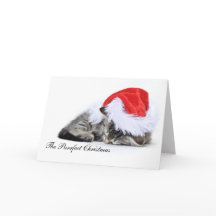The purrfect Christmas Card