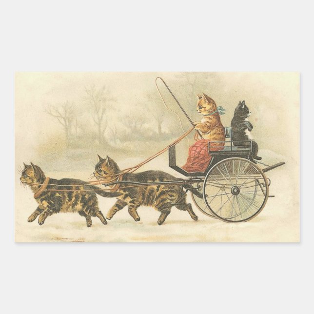 The PUrrfect Coach Postcard Rectangular Sticker (Front)