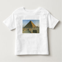 The Pyramids of Giza, which are alomost 5000 2