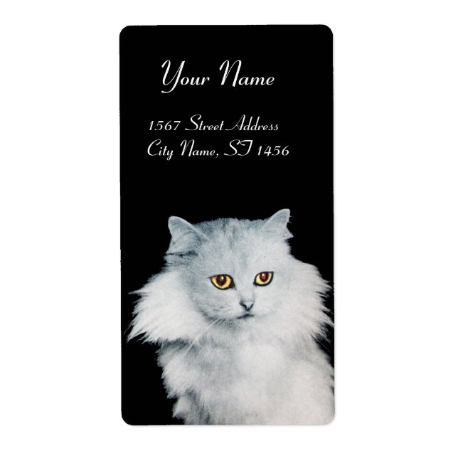 THE QUEEN OF WHITE CATS (Front)