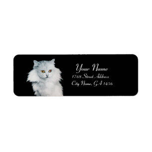 THE QUEEN OF WHITE CATS