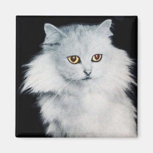 THE QUEEN OF WHITE CATS MAGNET
