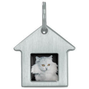 THE QUEEN OF WHITE CATS PET NAME TAG