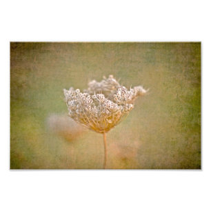 The Queen Photo Print