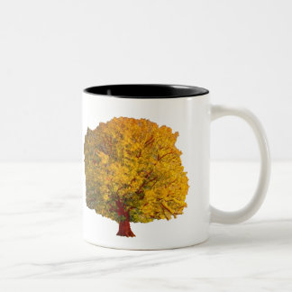 The Quest Tree Mug