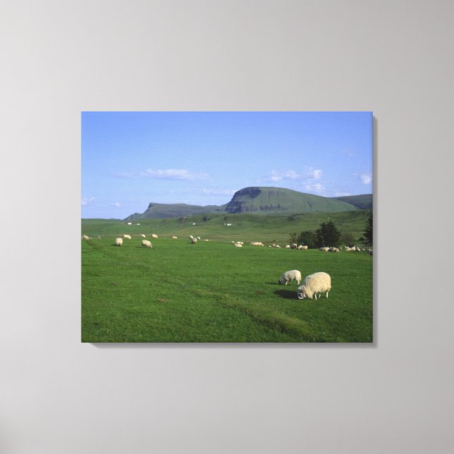 The Quiraing Mountains, Isle of Skye, Highlands, Canvas Print (Front)