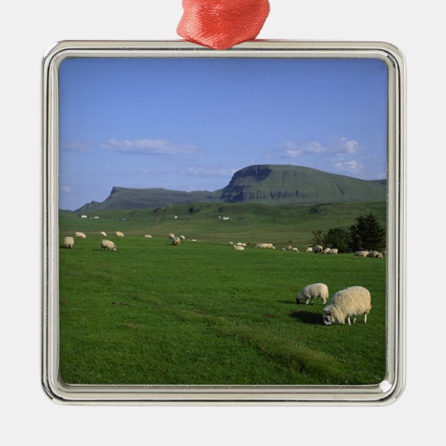 The Quiraing Mountains, Isle of Skye, Highlands, Metal Tree Decoration (Front)