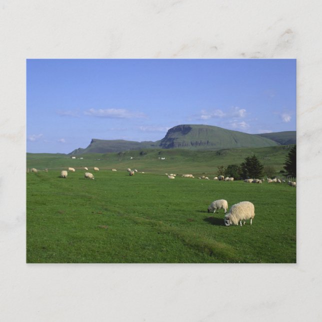 The Quiraing Mountains, Isle of Skye, Highlands, Postcard (Front)