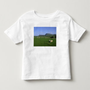 The Quiraing Mountains, Isle of Skye, Highlands, Toddler T-Shirt