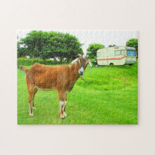 THE QUIRKY GOAT 11x14 INCH Jigsaw Puzzle