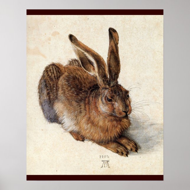 THE RABBIT ( Young Hare ) Poster (Front)