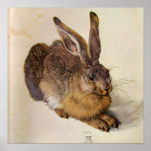 THE RABBIT ( Young Hare ) Poster