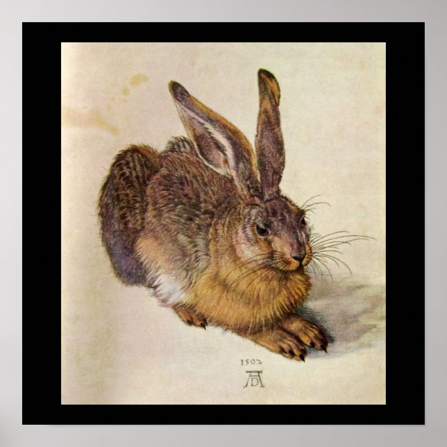 THE RABBIT ( Young Hare ) Poster (Front)