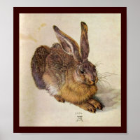 THE RABBIT ( Young Hare )