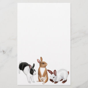 The Rabbits Stationery