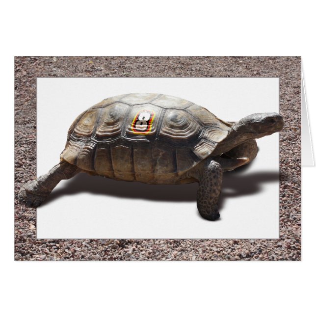 The Racer (Front Horizontal)