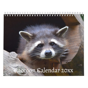 The Racoon Forest Animal Calendar
