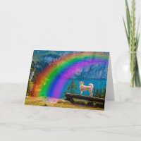 The Rainbow Bridge Poem, In Memory of a Pet...