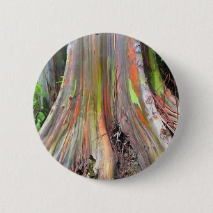 The Rainbow Eucalyptus Tree Products 6 Cm Round Badge