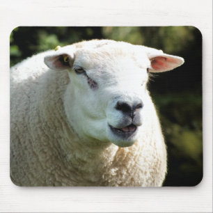THE RAM MOUSE PAD