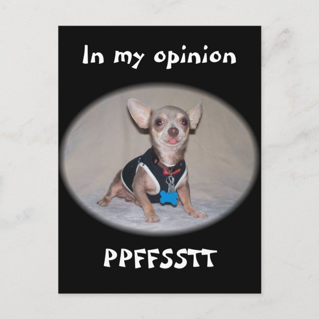 The Raspberry Opinion Postcard (Front)