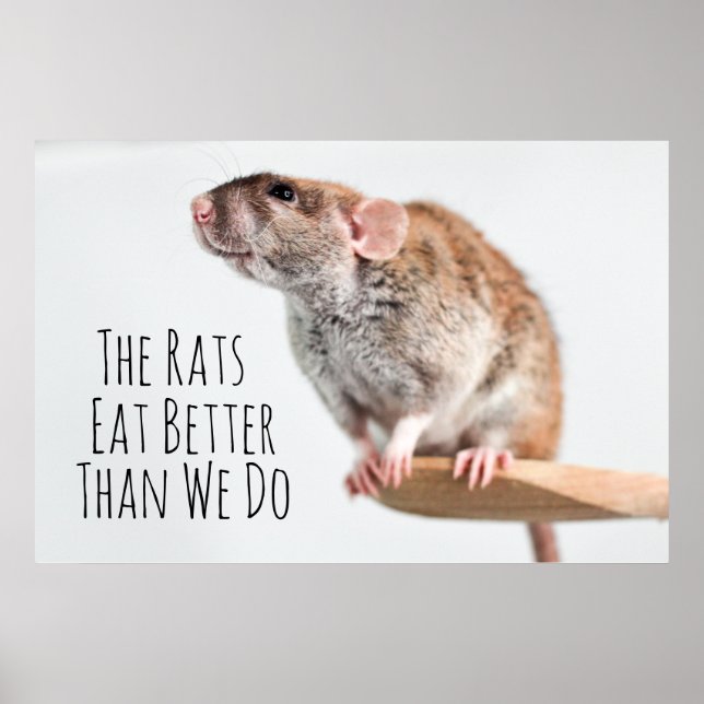 The rats eat better than we do poster (Front)