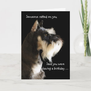 The ratter ... card