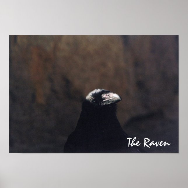 The Raven Poster (Front)