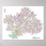 The Real Tree Of Life Poster<br><div class="desc">pls</div>