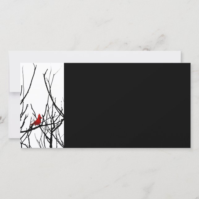 The Red Bird by Leslie Peppers (Front)