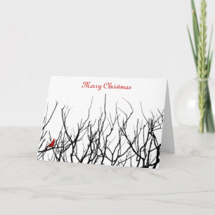 The Red Bird by Leslie Peppers Holiday Card