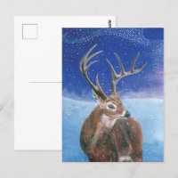 The red deer (Cervus elaphus) in Winter