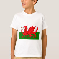 The Red Dragon [Flag of Wales]