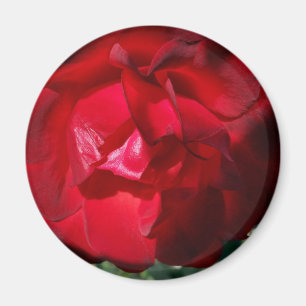 The red of autumn magnet