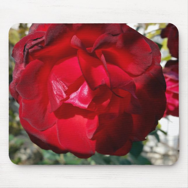 The red of autumn mouse pad (Front)