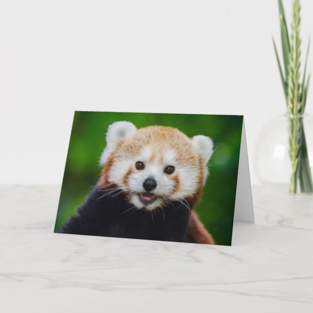 The Red Panda Valentine Card (Front)