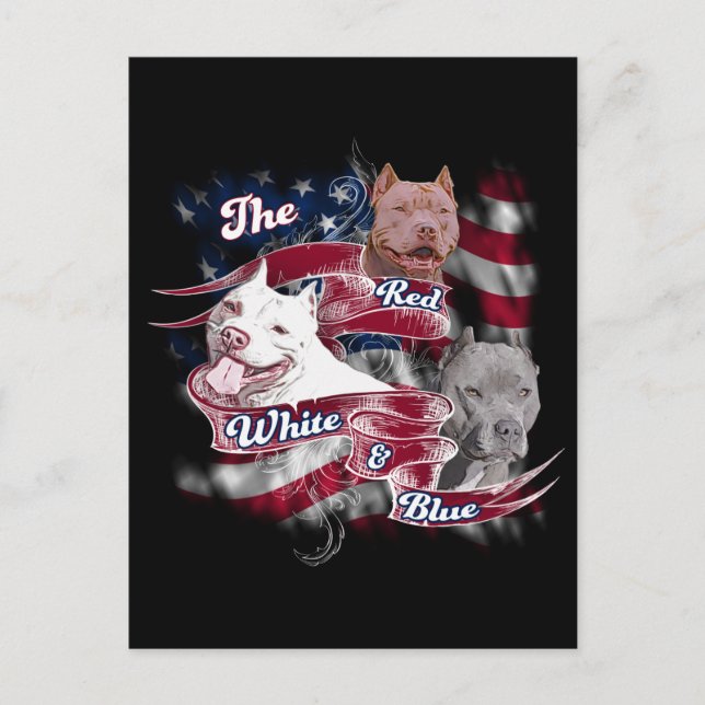 The Red, White & Blue Pitbull Dogs Postcard (Front)