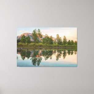 The Reflections  Canvas Print