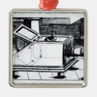 The reflex box camera obscura