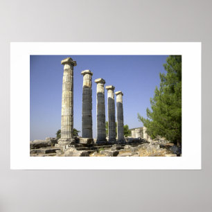 The remainings of ancient Rome Poster