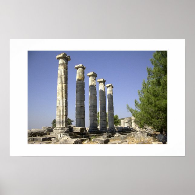 The remainings of ancient Rome Poster (Front)