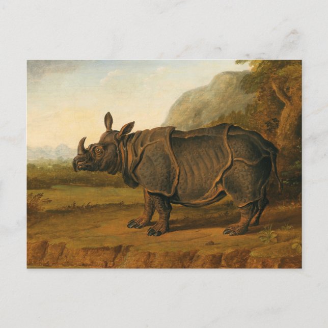 The Rhinoceros Clara by Jean-Baptiste Oudry Postcard (Front)