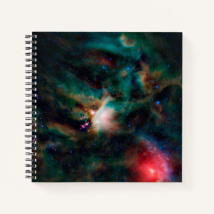 The Rho Ophiuchi Cloud Complex. Notebook